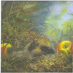 Hedehog and Apples