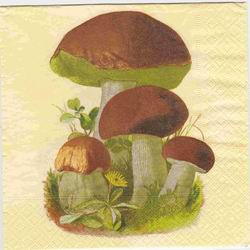 Cep