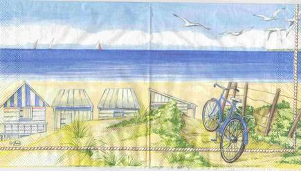 Beach Bicle